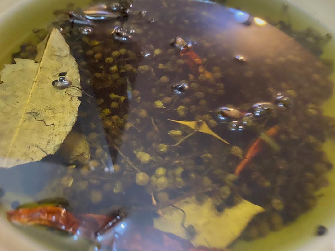 改良版青花椒油