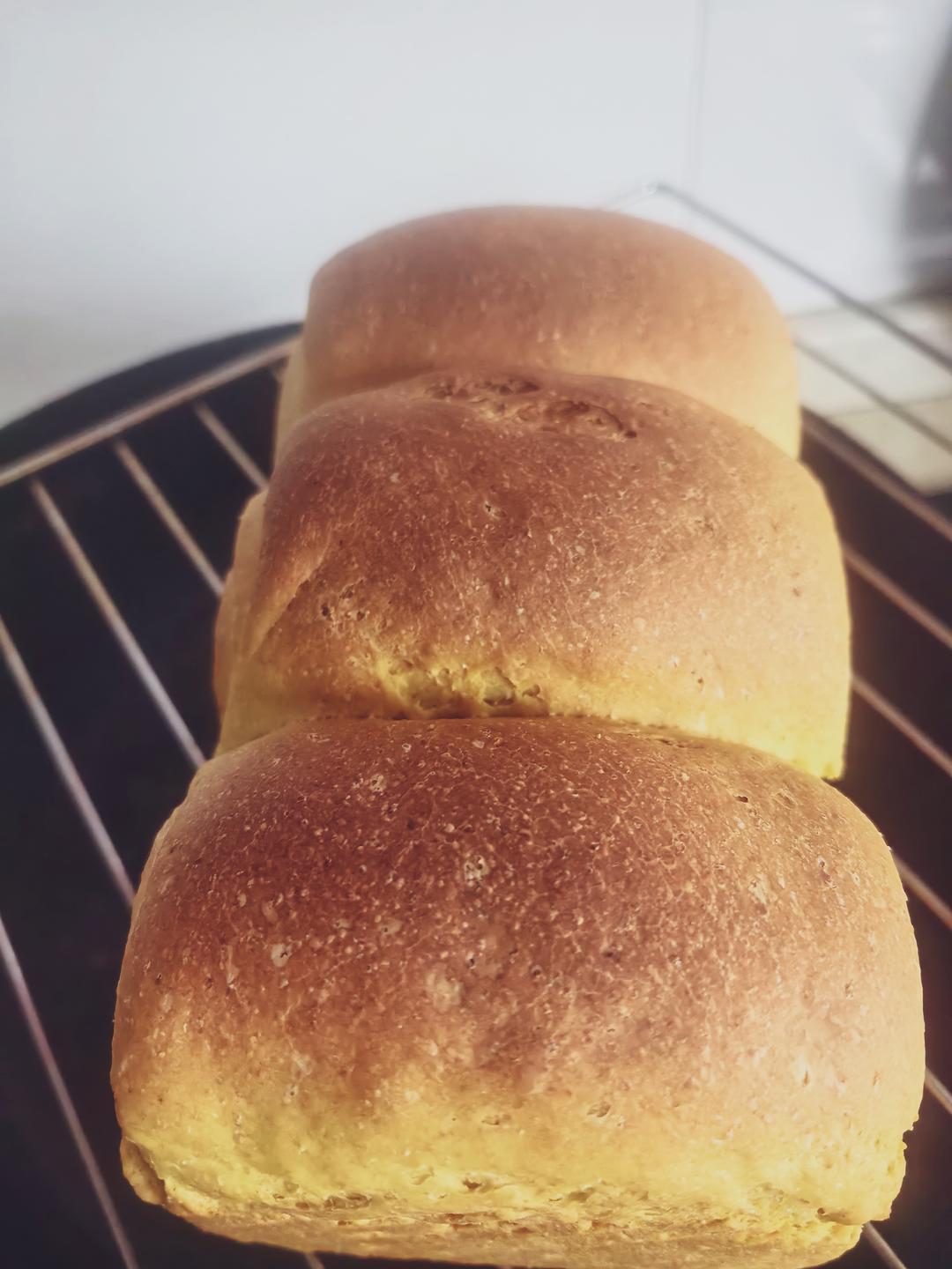 【无糖】全麦南瓜吐司