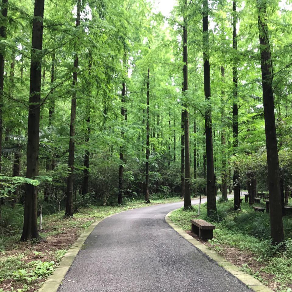 小南国_gaut