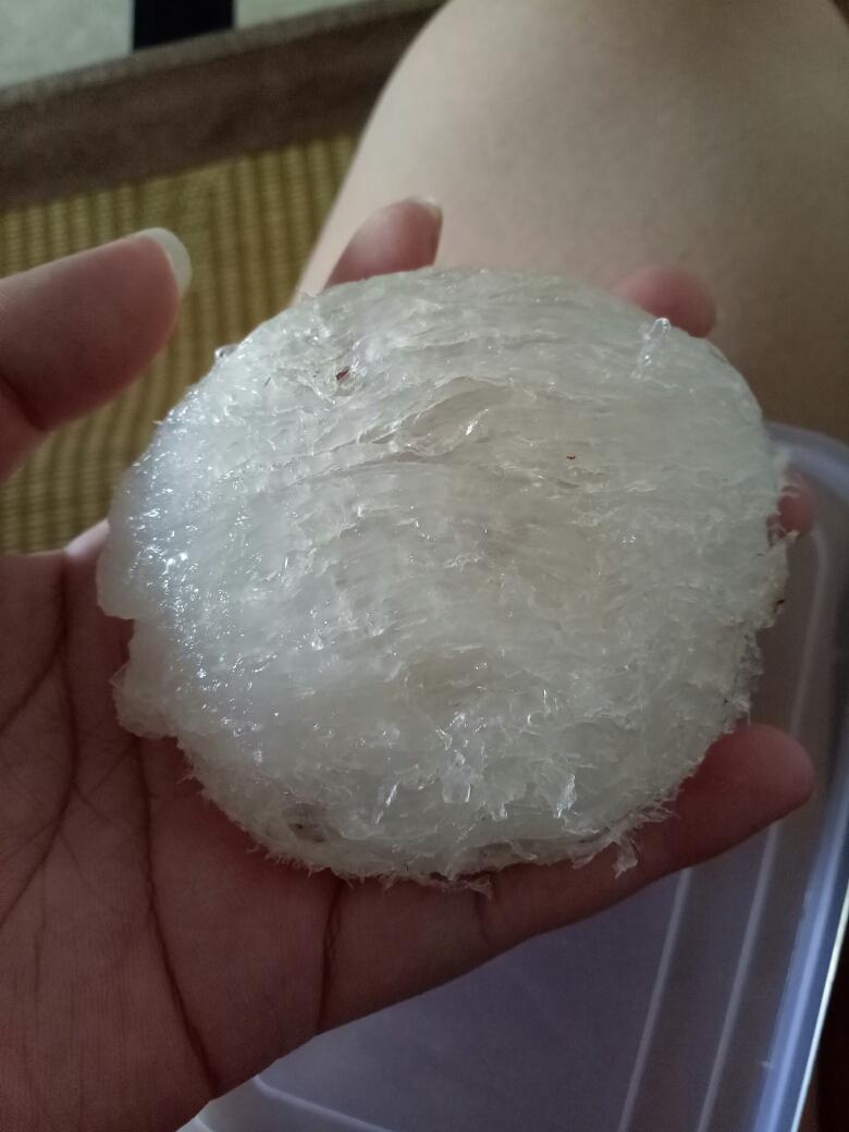 懒人版简单版毛燕自己制作干挑燕盏 燕条 燕碎