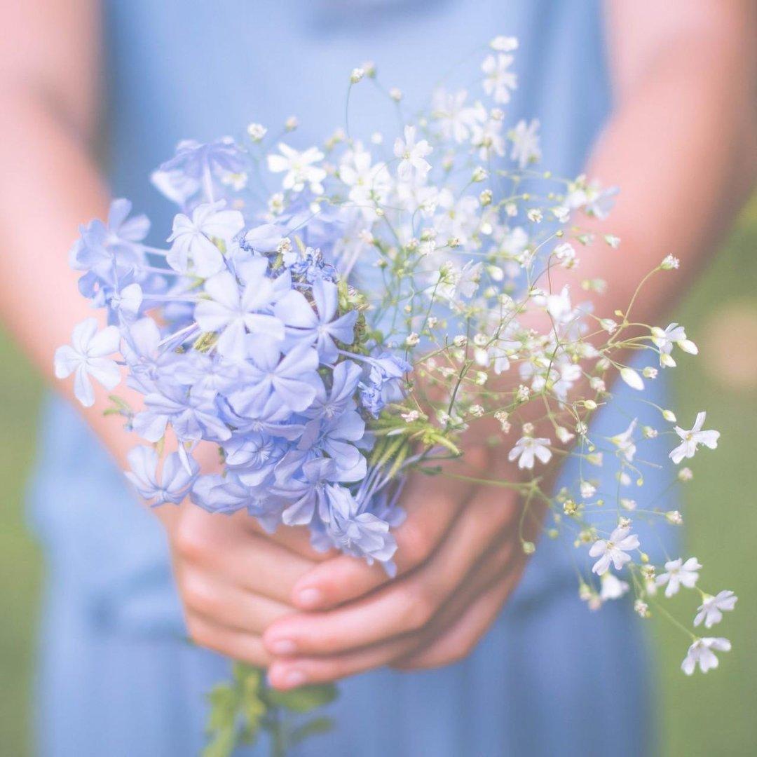 小小小龙女朵朵