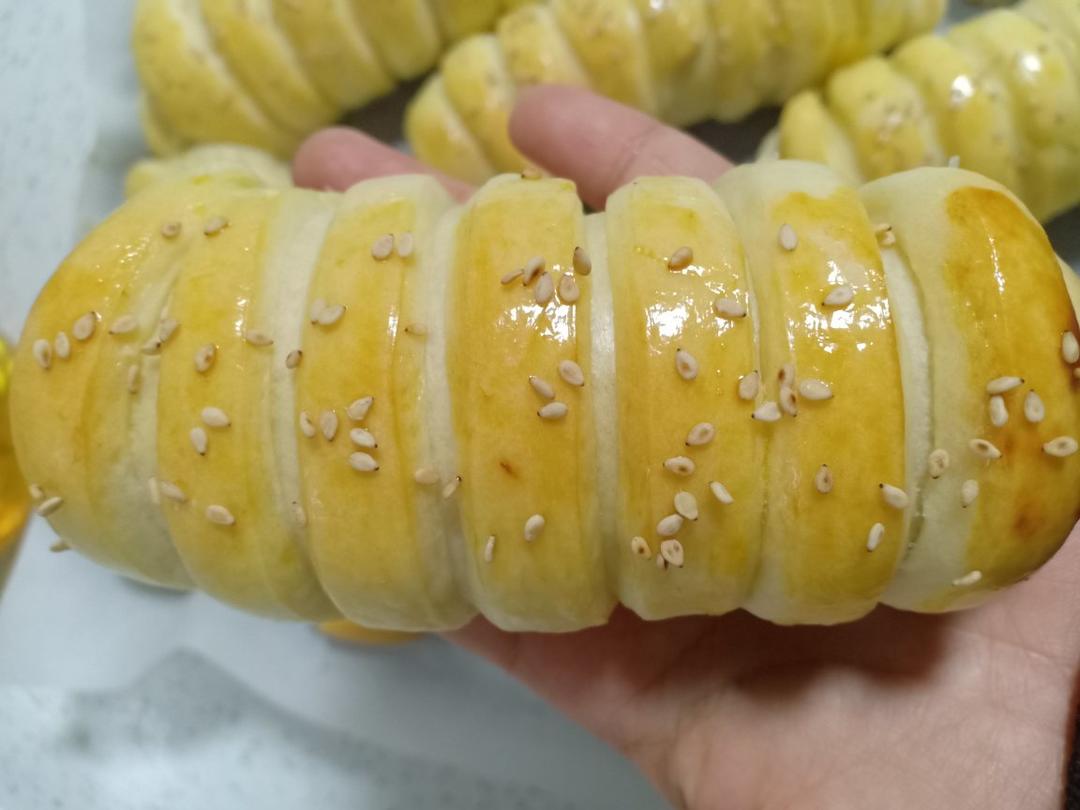 毛毛虫面包