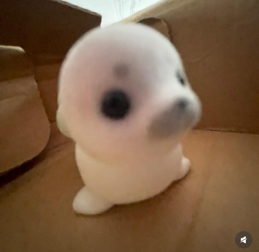 不是我呀