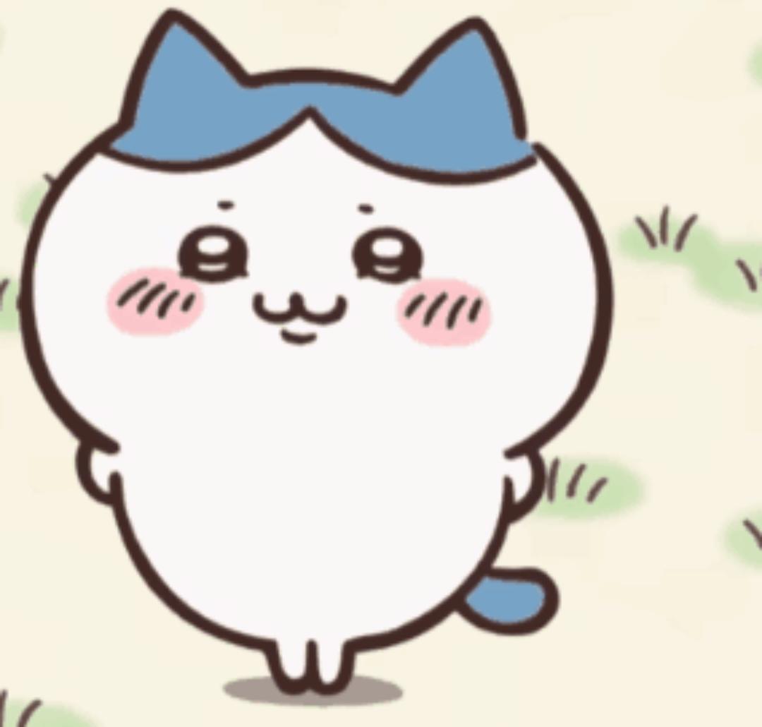一叶平生