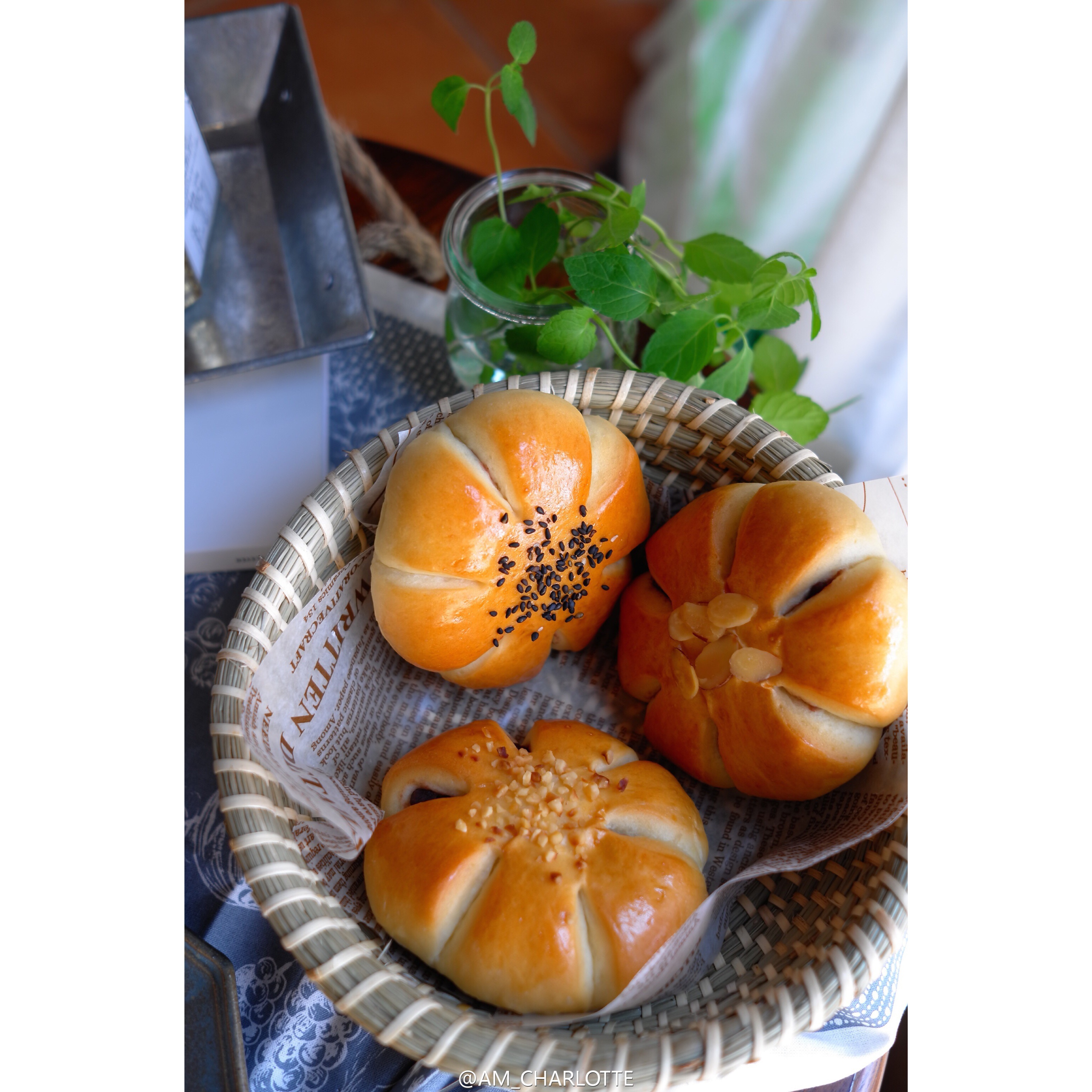 豆沙早餐包