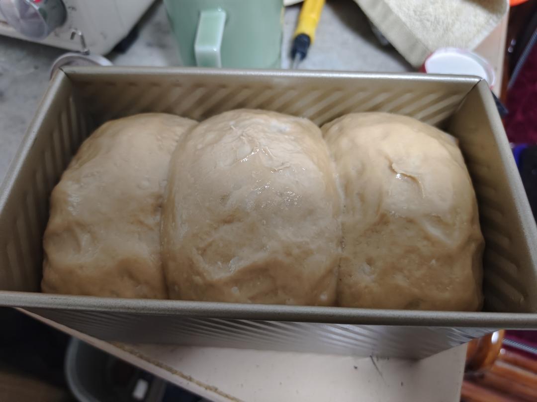做一次就成功的牛奶吐司面包（手和面揉出手套膜）最后附全麦吐司