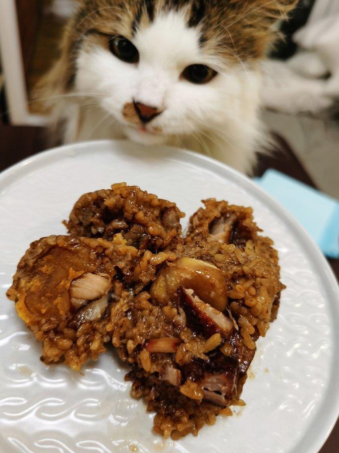 肉粽子