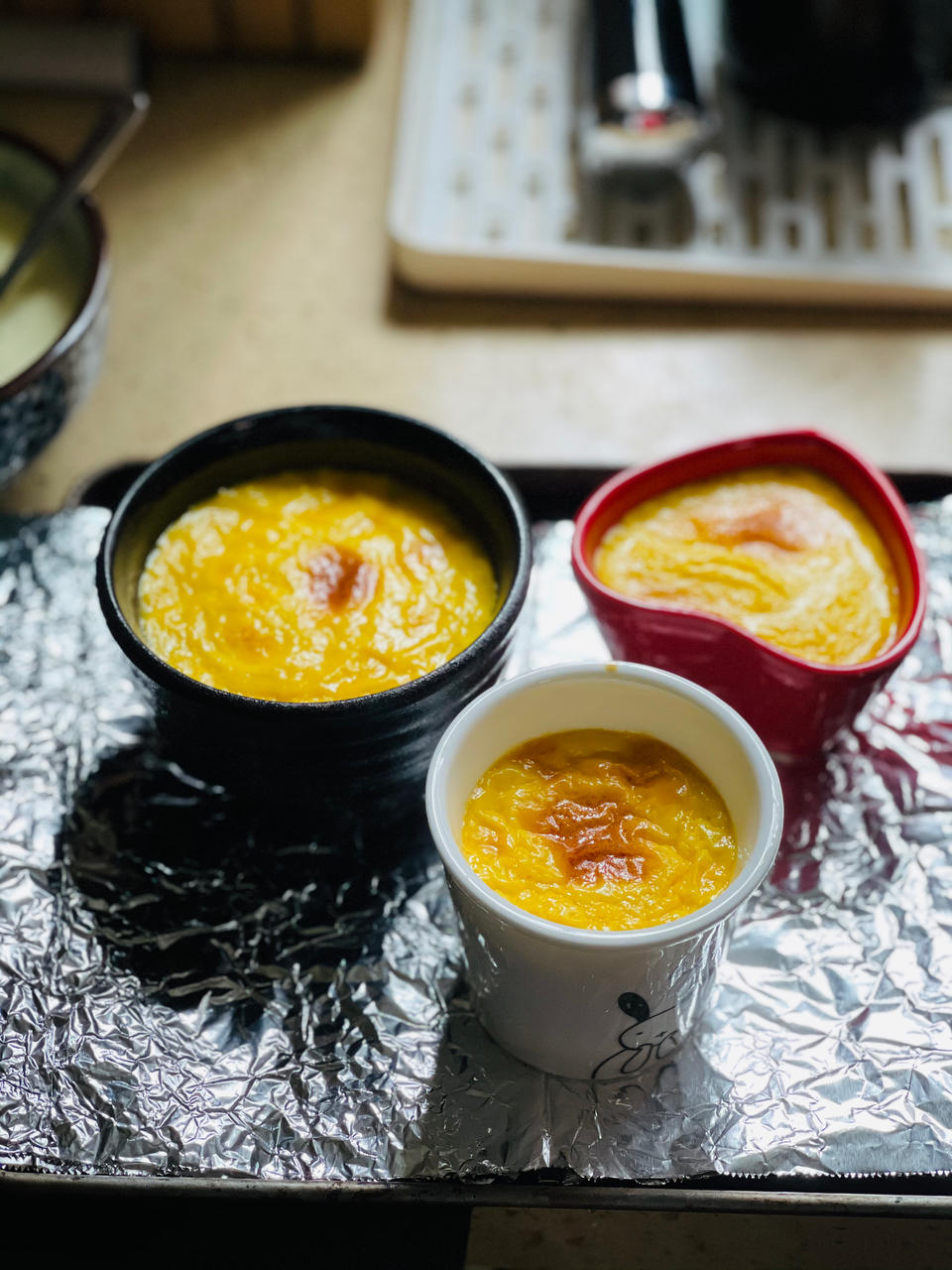 9升烤箱的食物探索