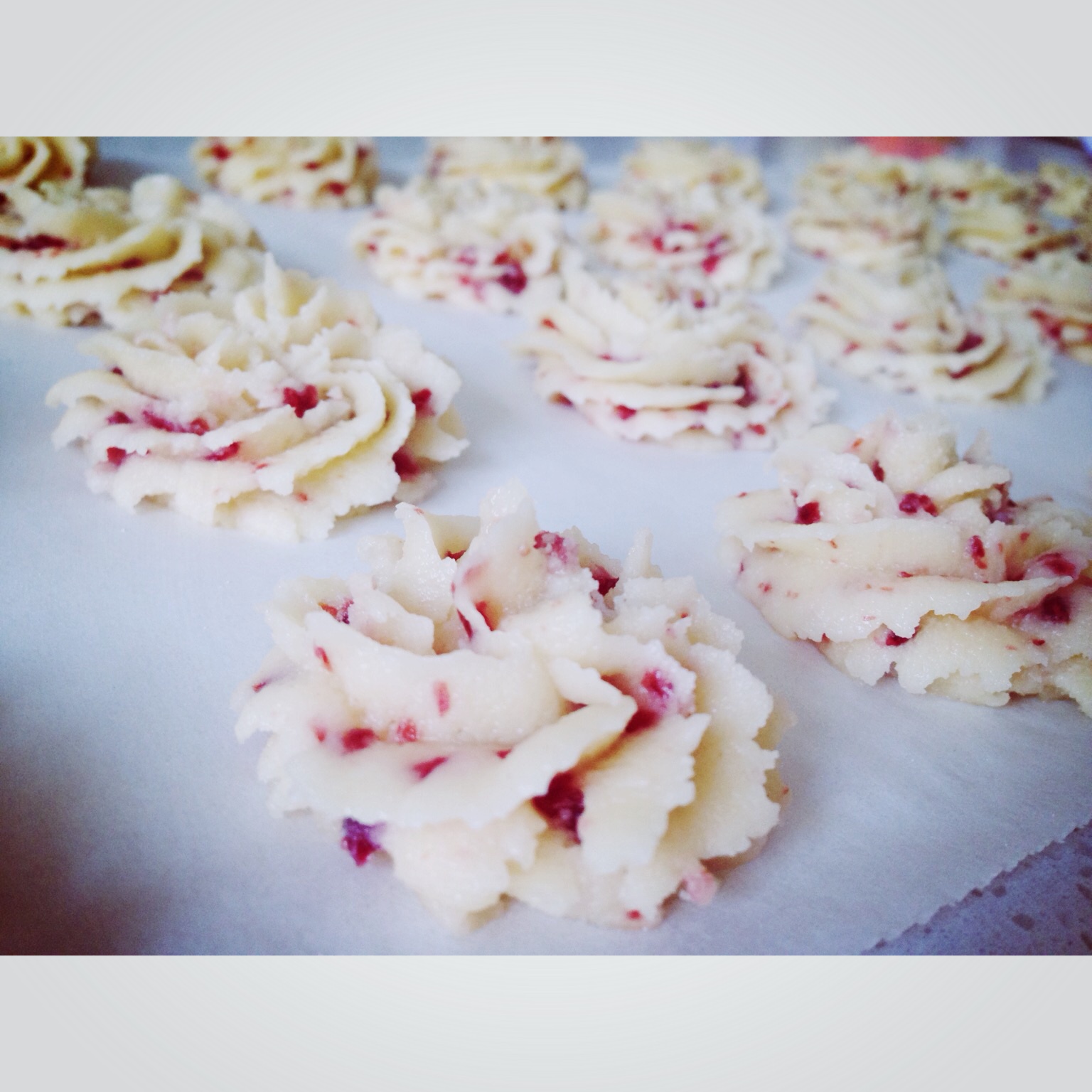 牛奶蔓越莓曲奇