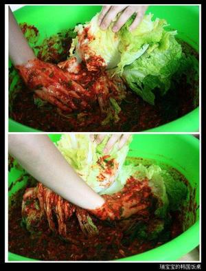 来自韩国媳妇的正宗韩式泡菜腌制方法~~的做法 步骤16