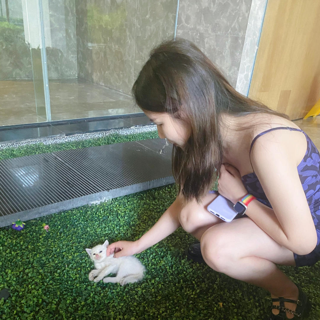 泡芙再也不吃草