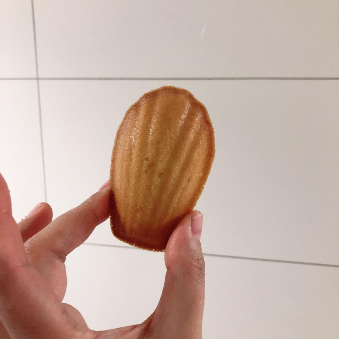 玛德琳（蓝带方）