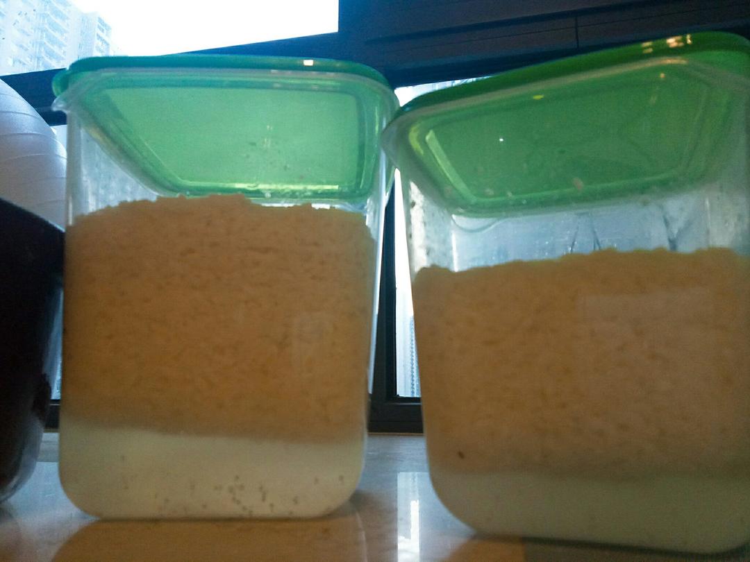 【曼食慢语】酒酿