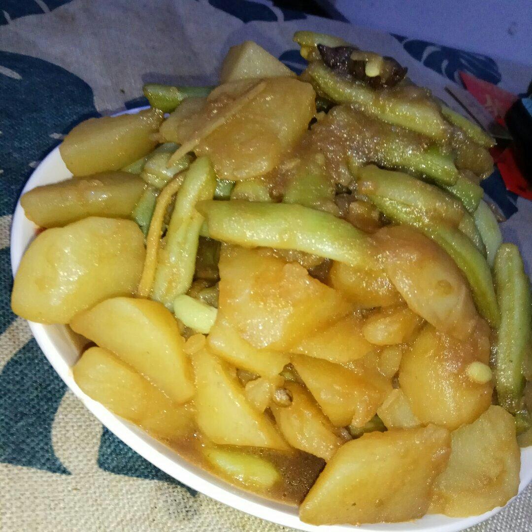 我想养只猫i做的芸豆炖土豆