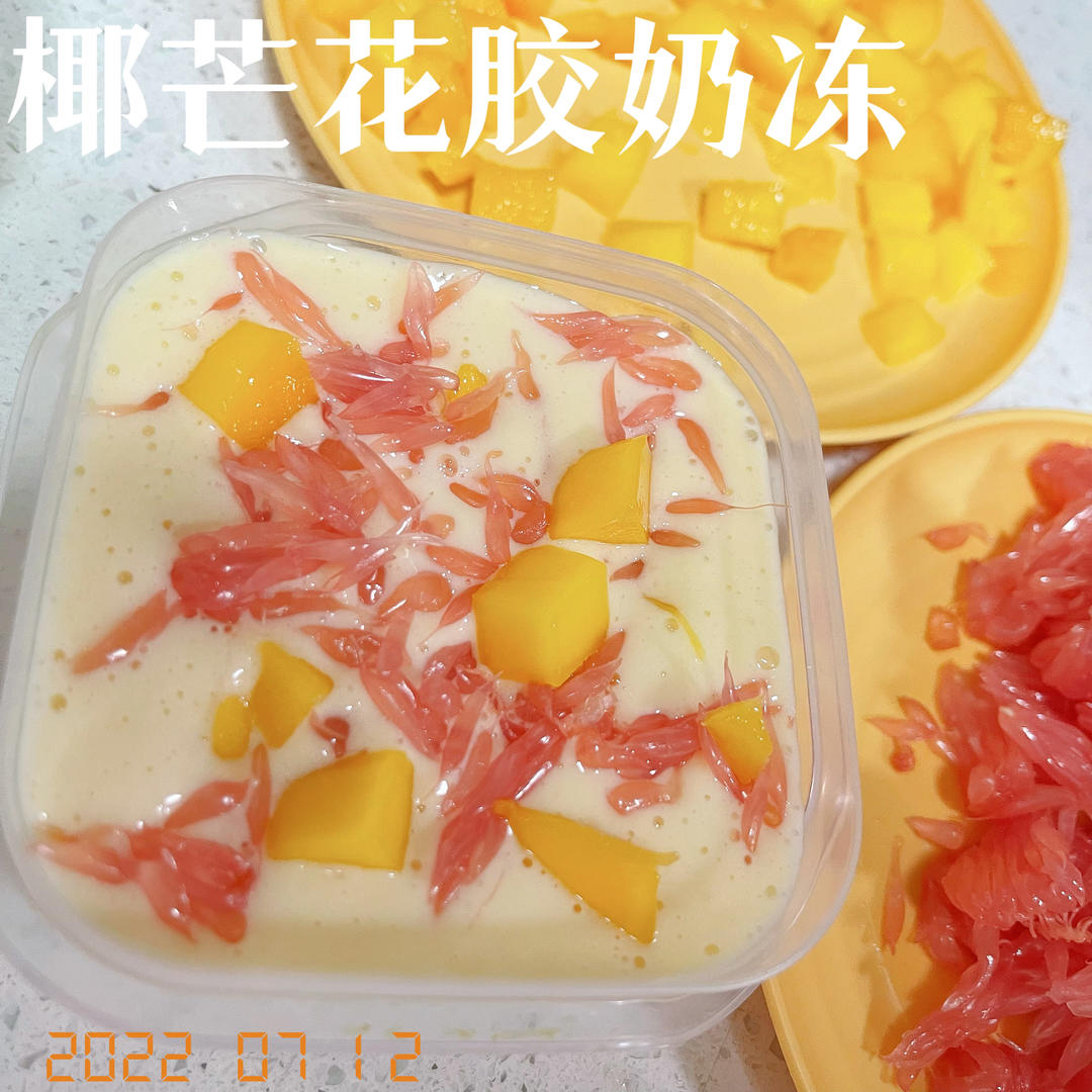 椰芒花胶奶冻