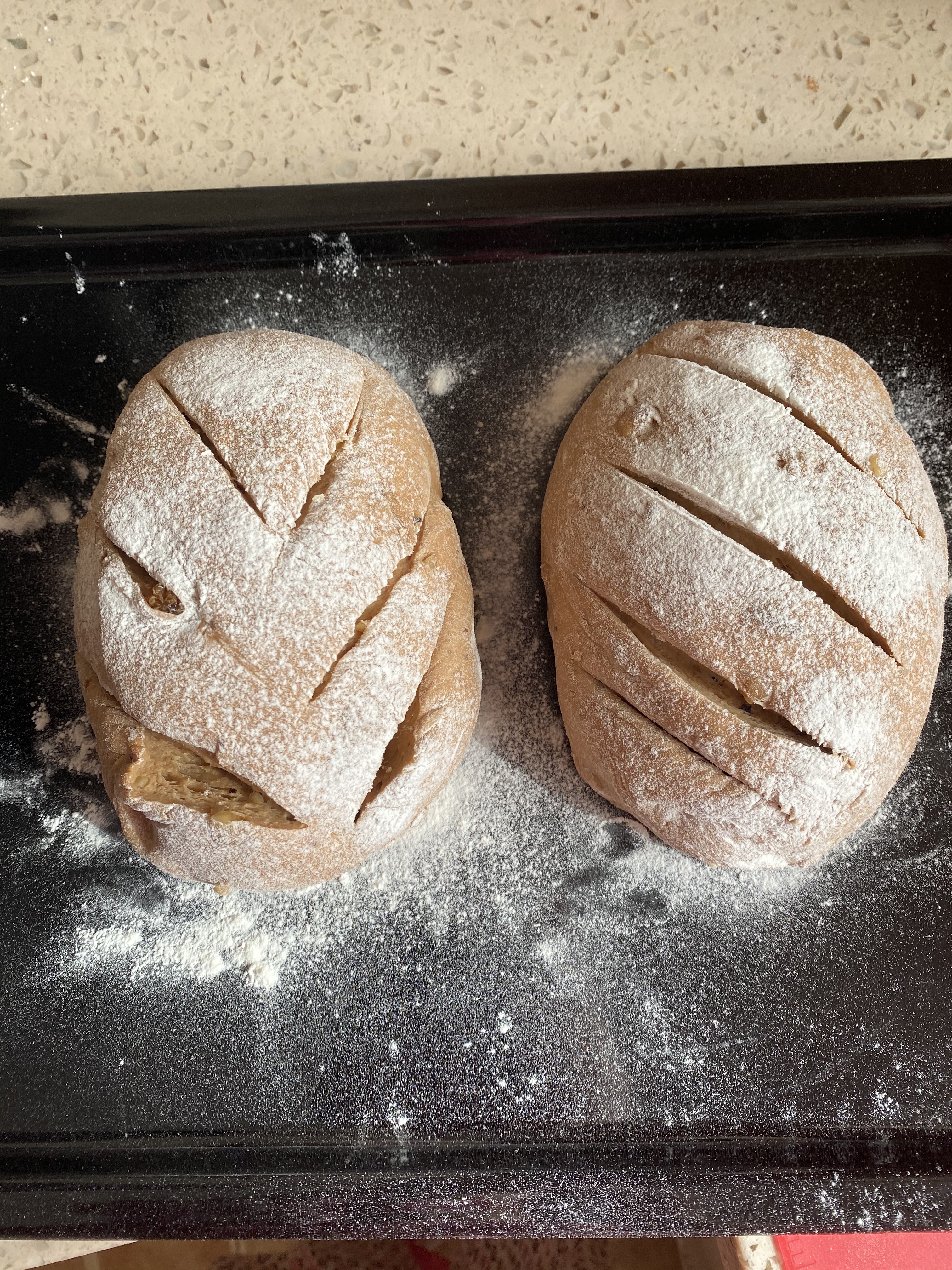 黑麦核桃红糖面包（东芝烤箱）的做法 步骤4