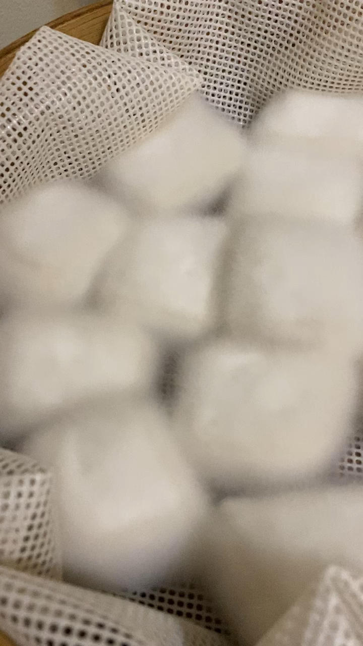毛豆腐（狐狸一样的毛）