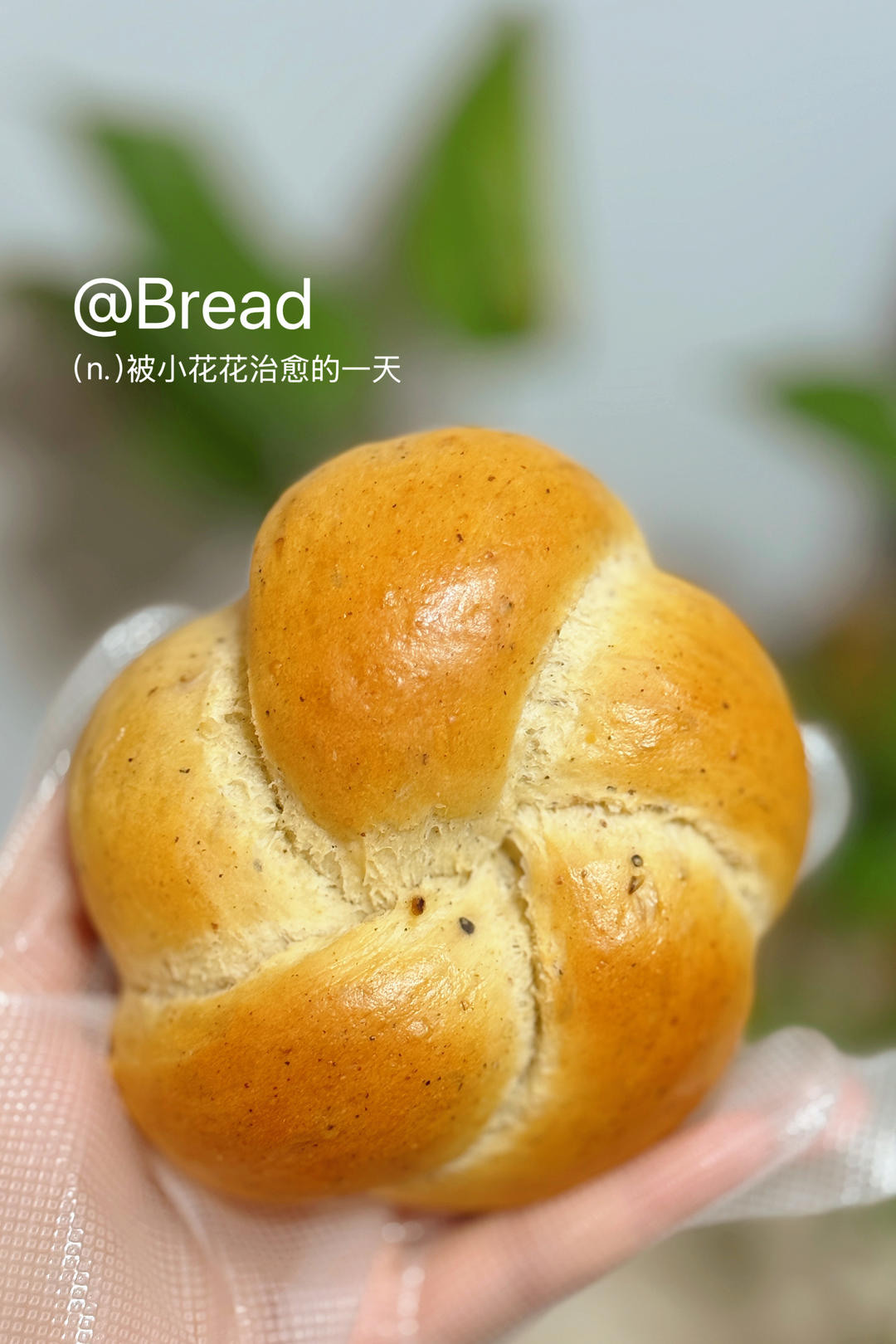 黑芝麻面包卷(中筋面粉)