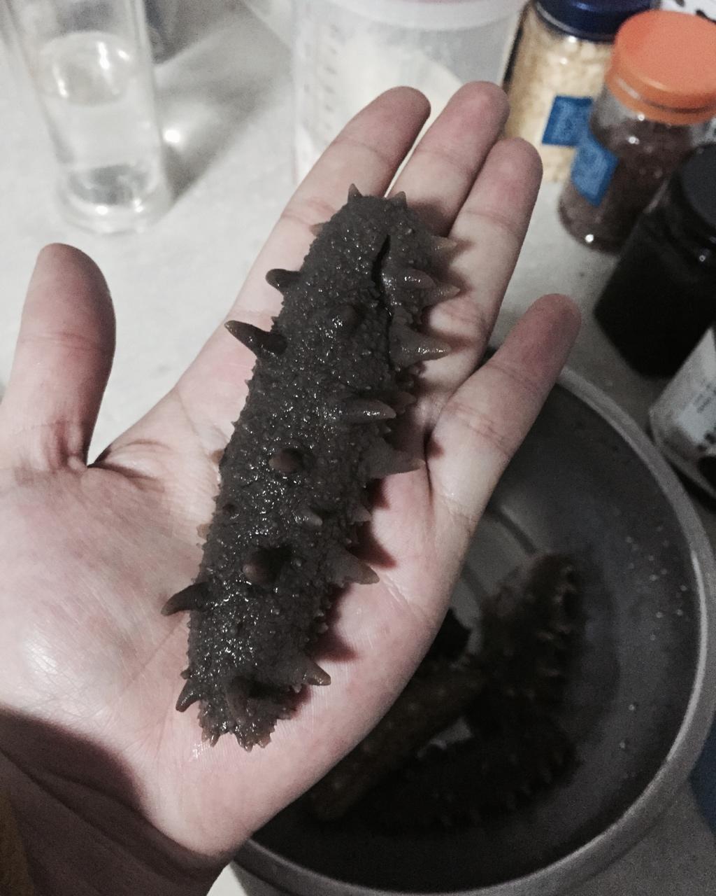 史上最方便、最节能的【私房海参发制法】