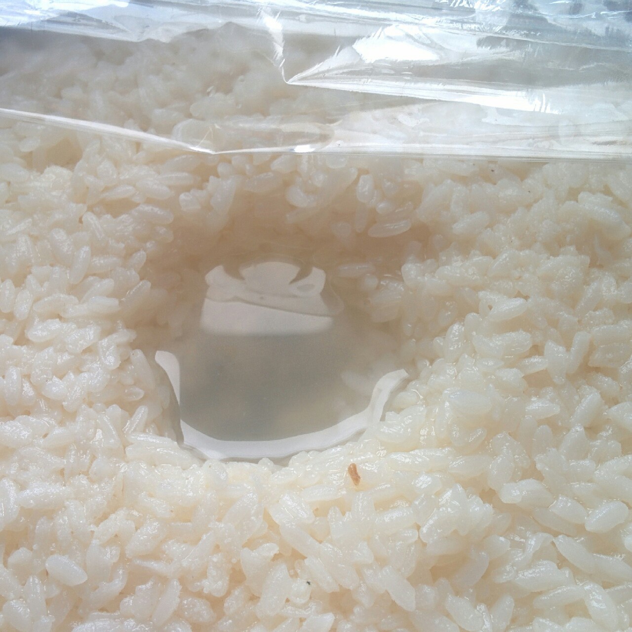 米酒，酒酿，醪糟