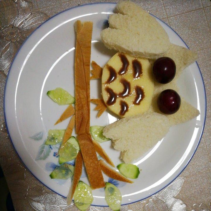 萌萌的猫头鹰早餐