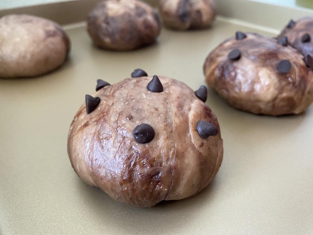 黑眼豆豆面包