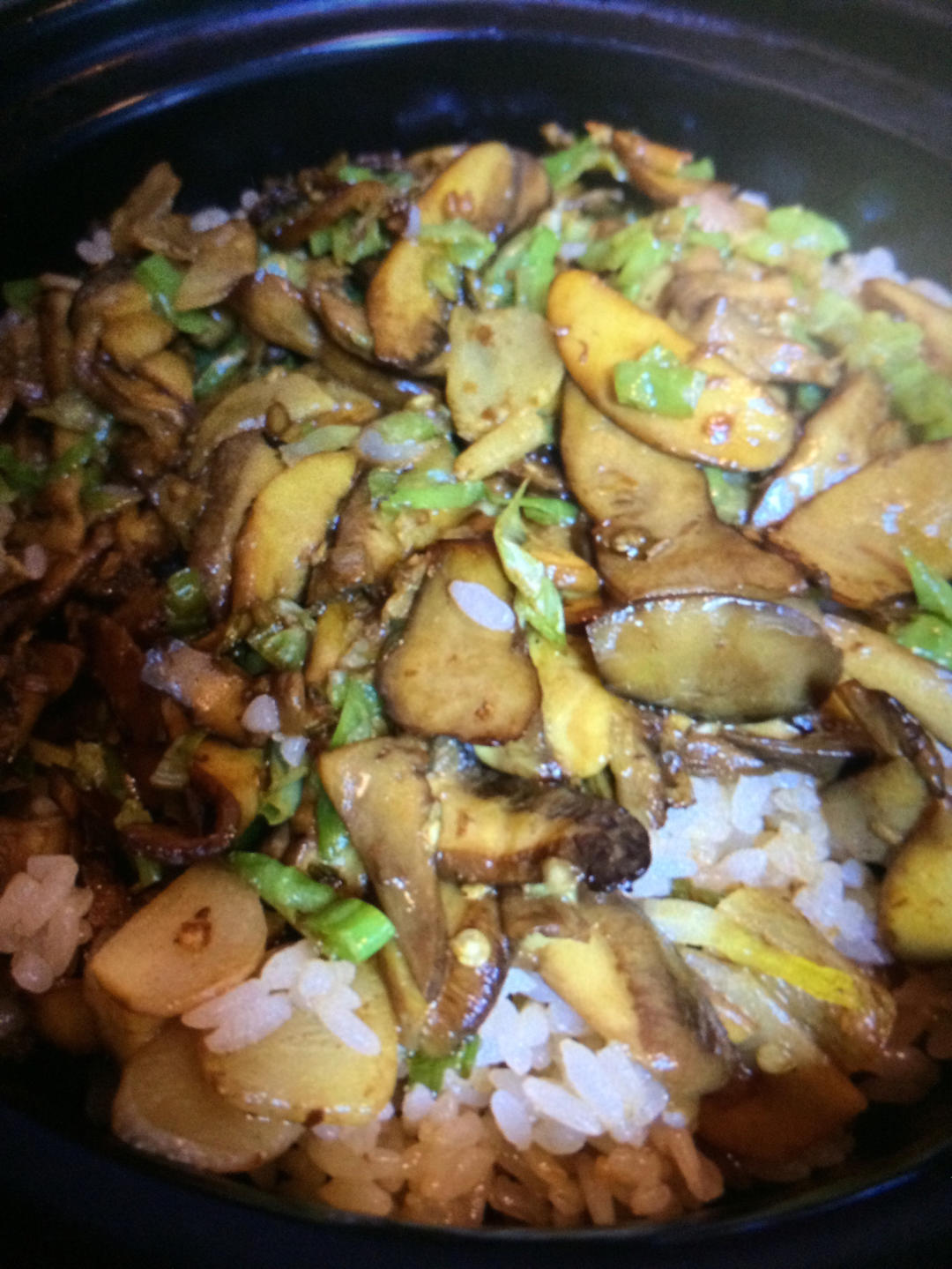 野生菌焖饭（见手青）