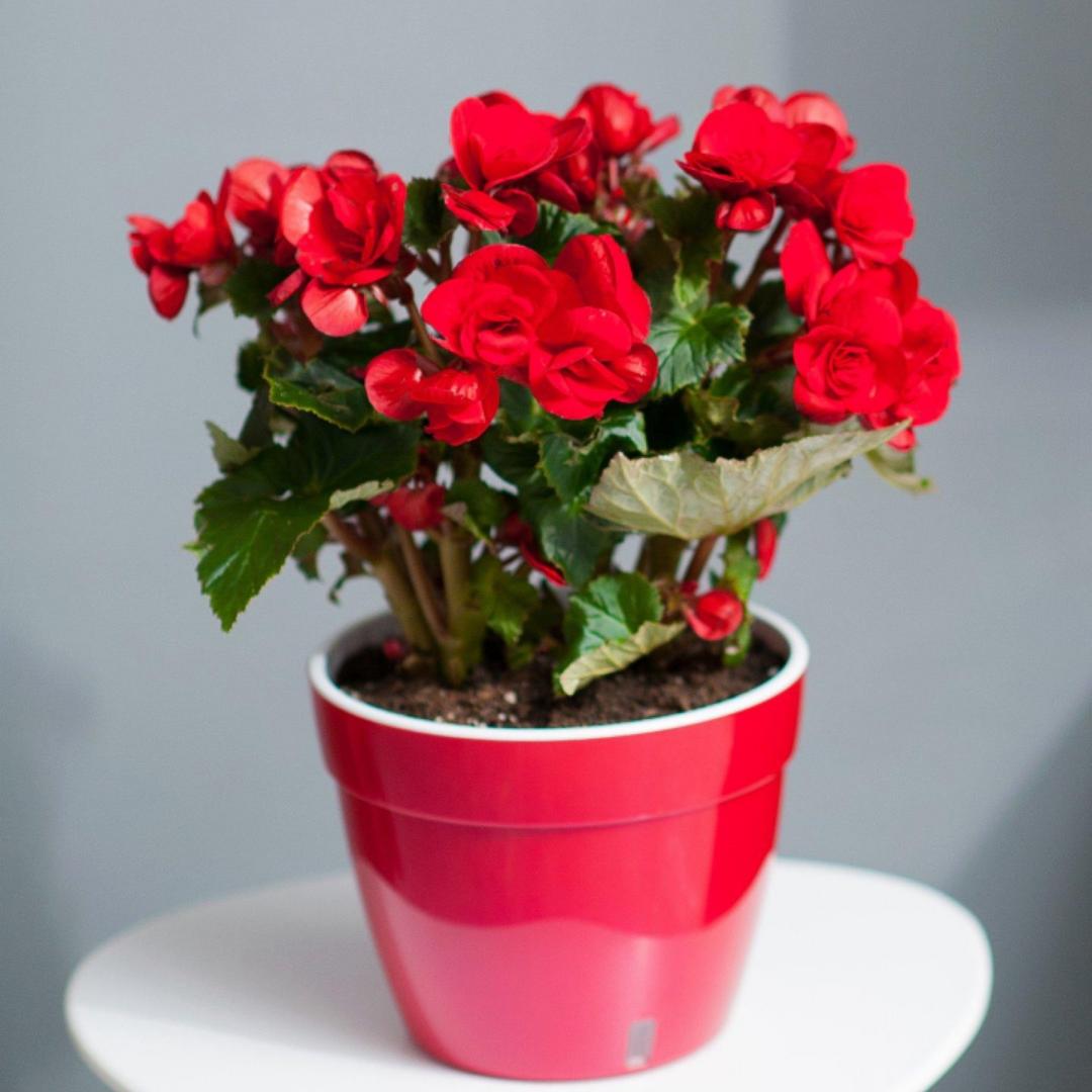  cindy咋Ｗ吥愛О伱