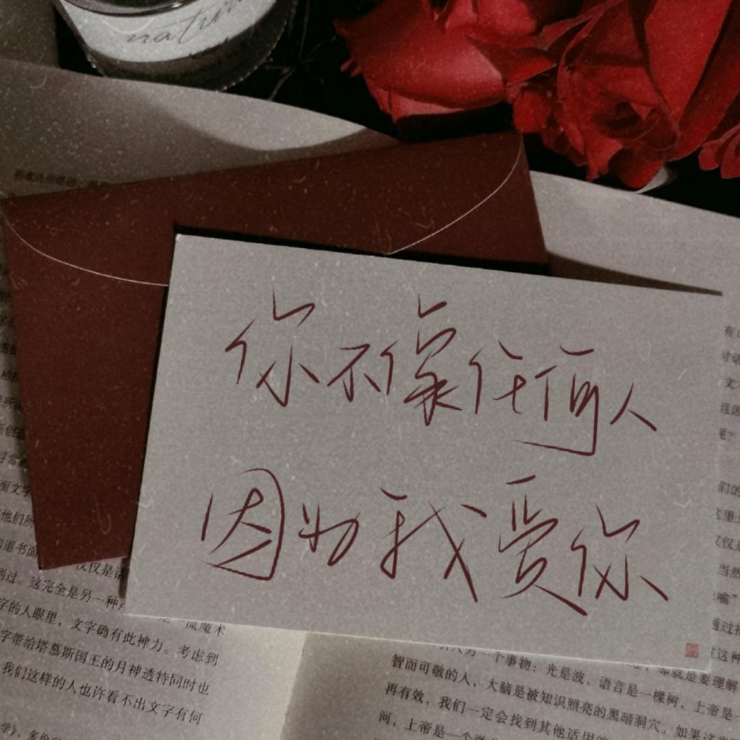 Souvenir助手雁书