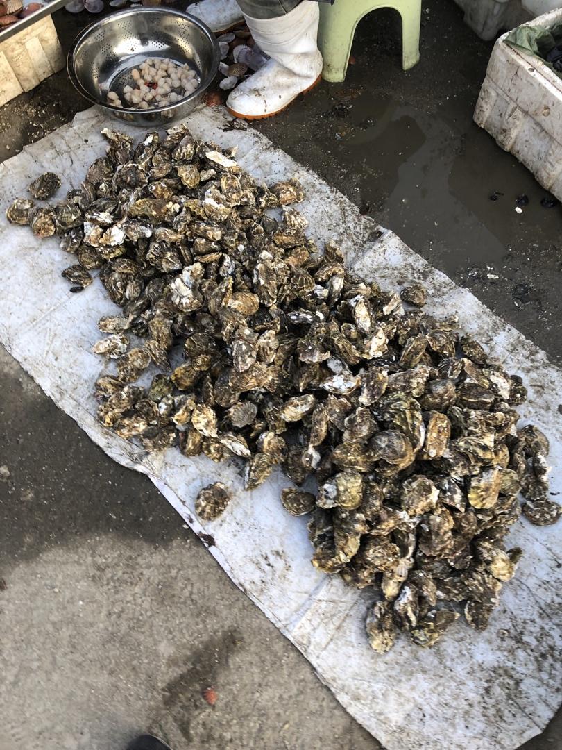记录我做过的海鲜们