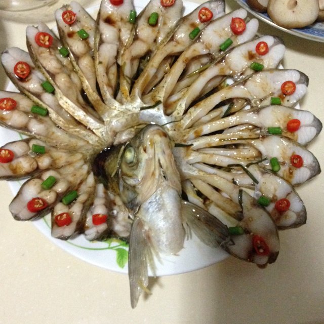 孔雀开屏鱼