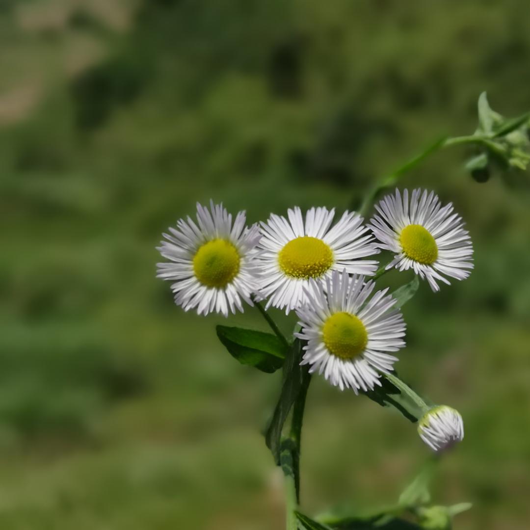 小鱼儿521928的厨房