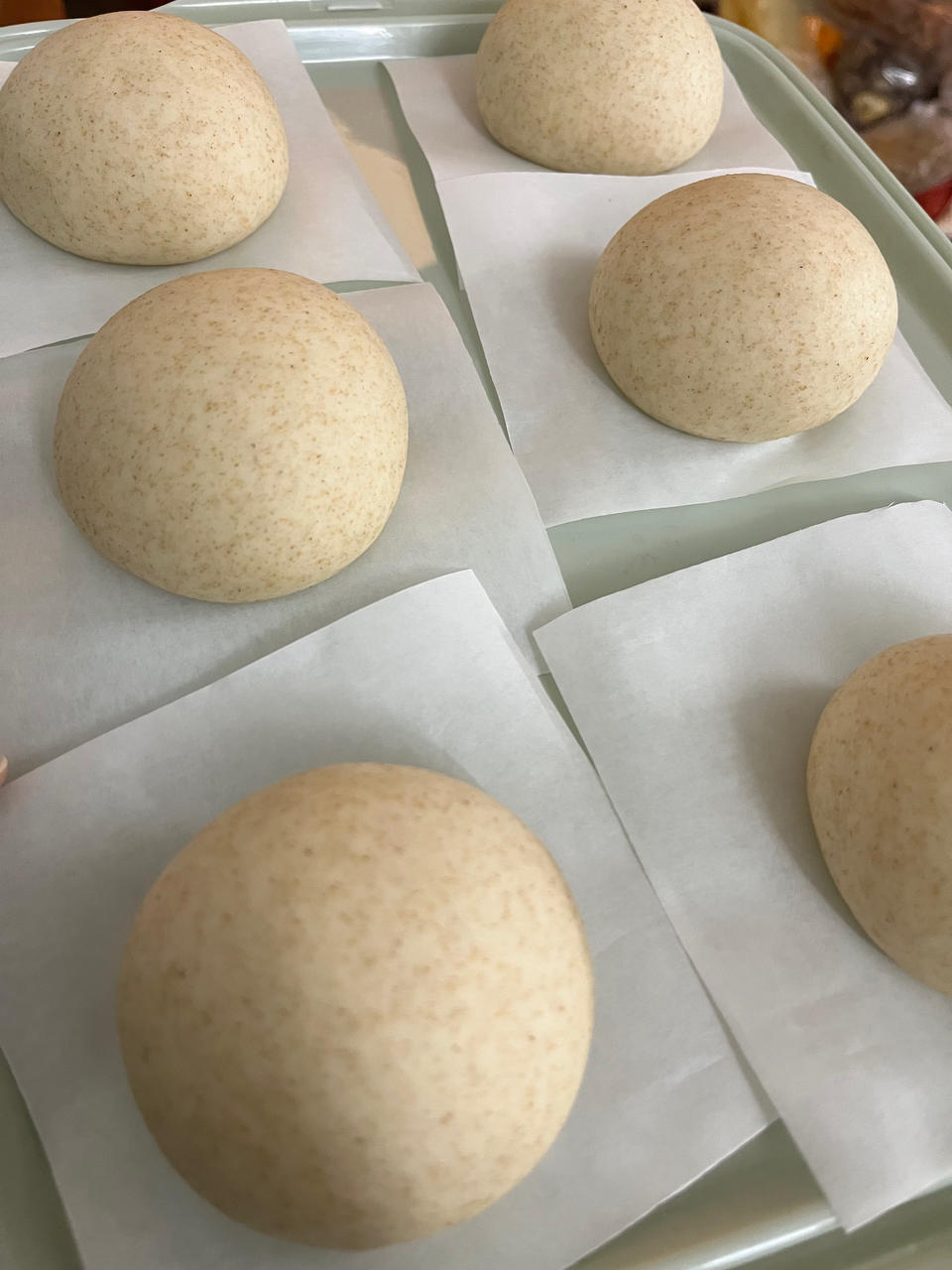 全麦馒头（一次发酵）