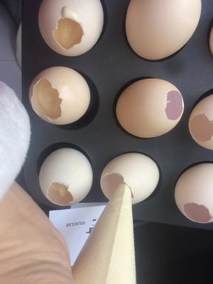 鸡蛋壳里的戚风蛋糕的做法 步骤4