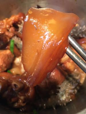 花胶海参冬菇焖猪脚的做法 步骤4