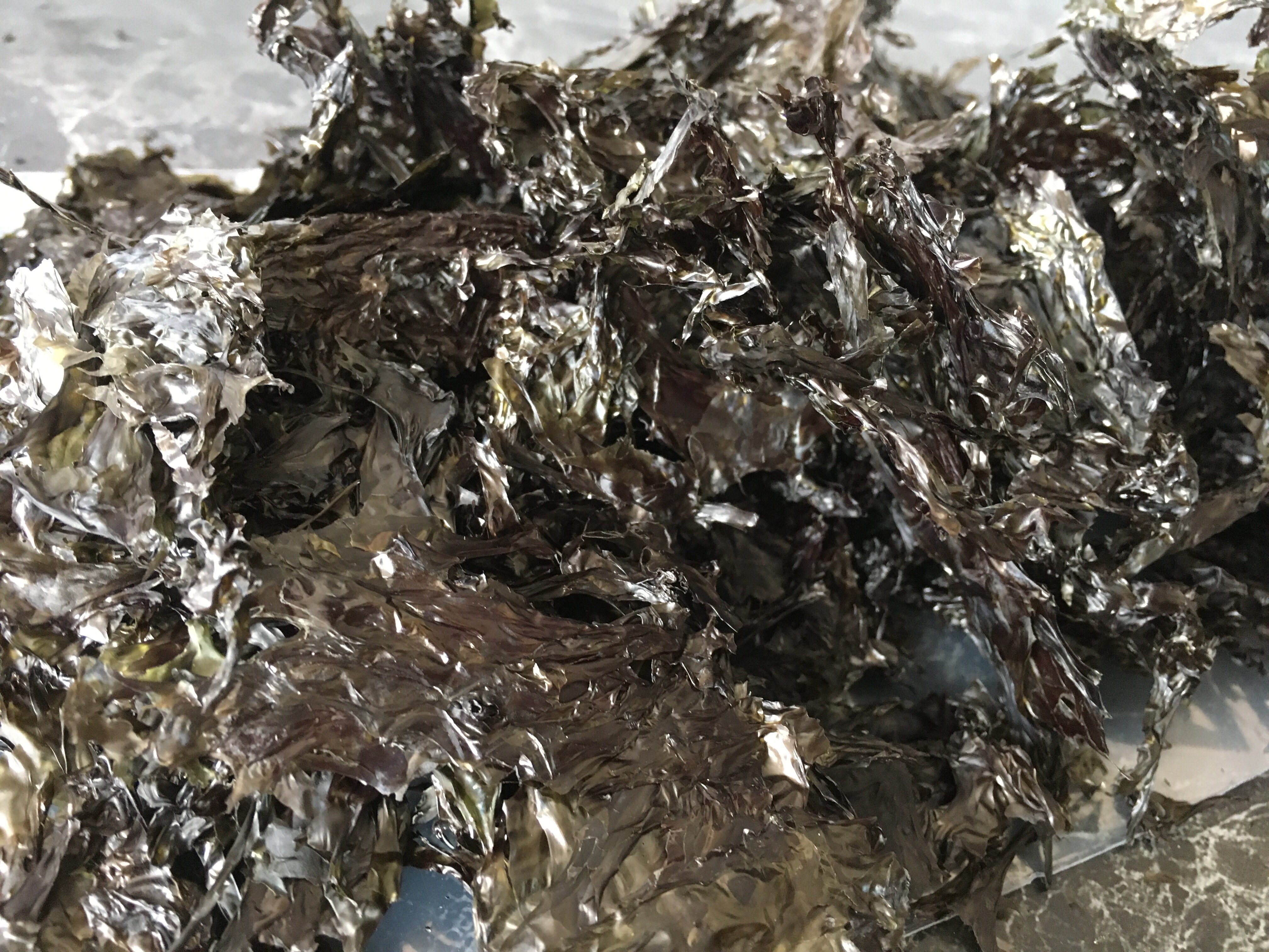 终于实现吃海苔自由了！自制低成本💡虾米味海苔的做法 步骤2