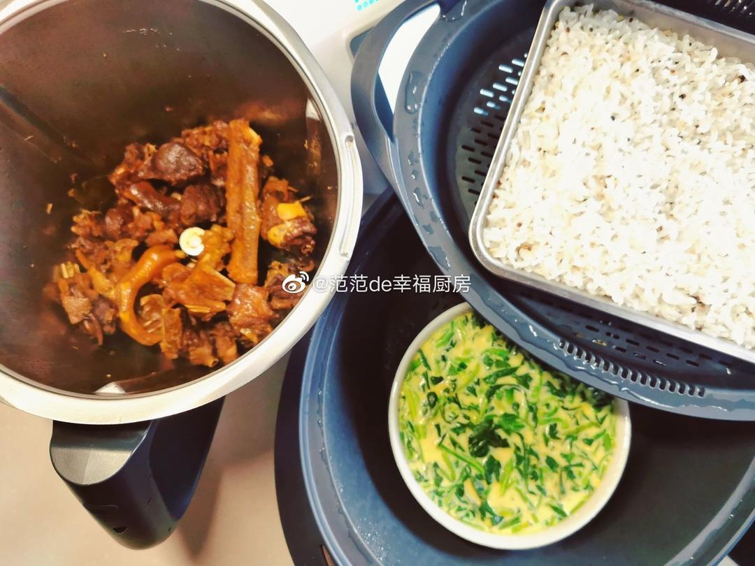酱鸭腿/红烧鸭腿