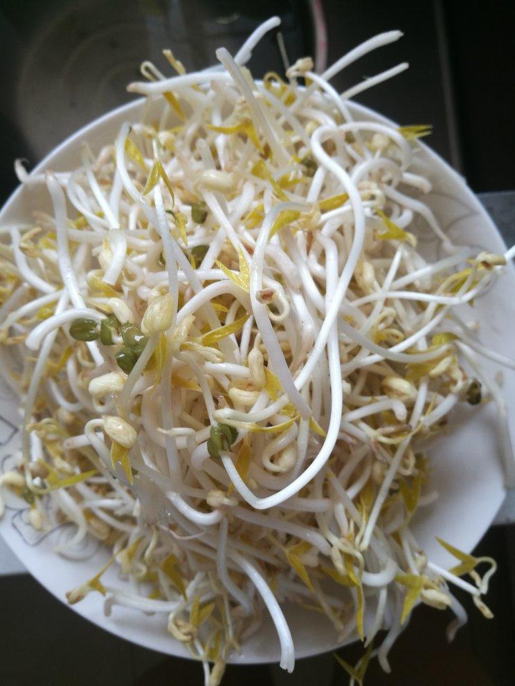 自制豆芽