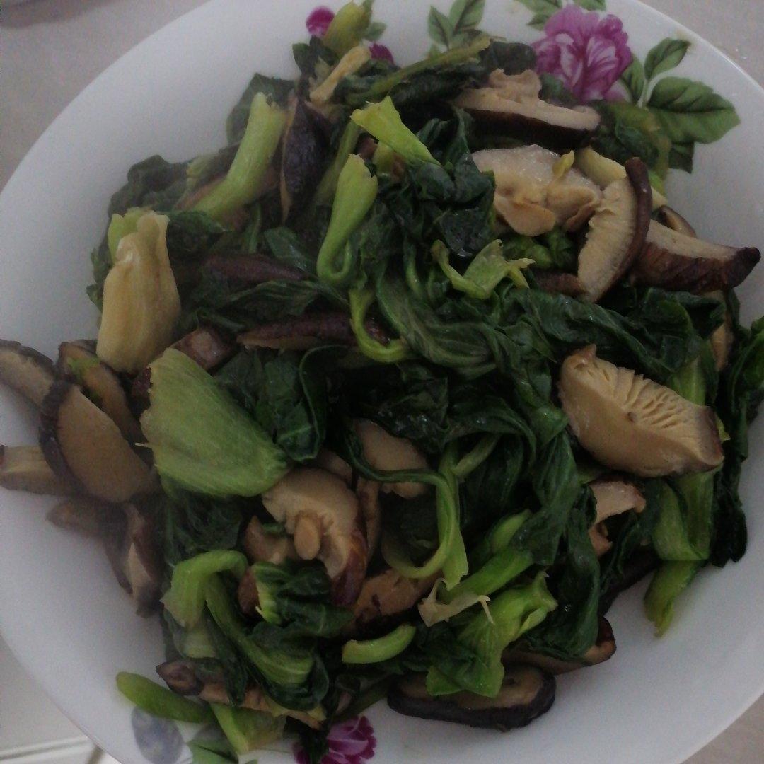 香菇青菜