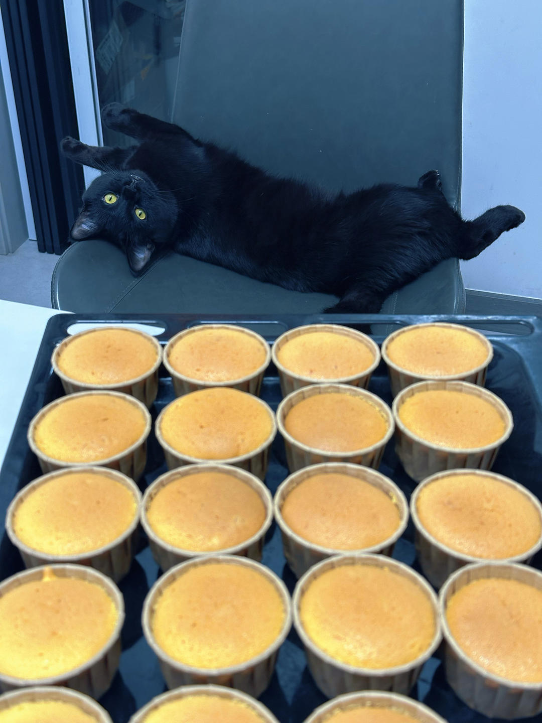 不塌陷不开裂不缩腰杯子蛋糕分享