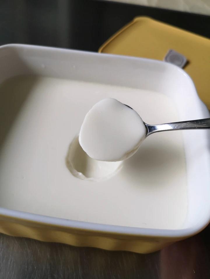 低卡酸奶奶酪【5-6月北鼎蒸炖锅食谱】