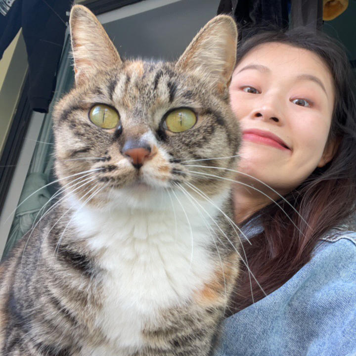 小馋猫上线