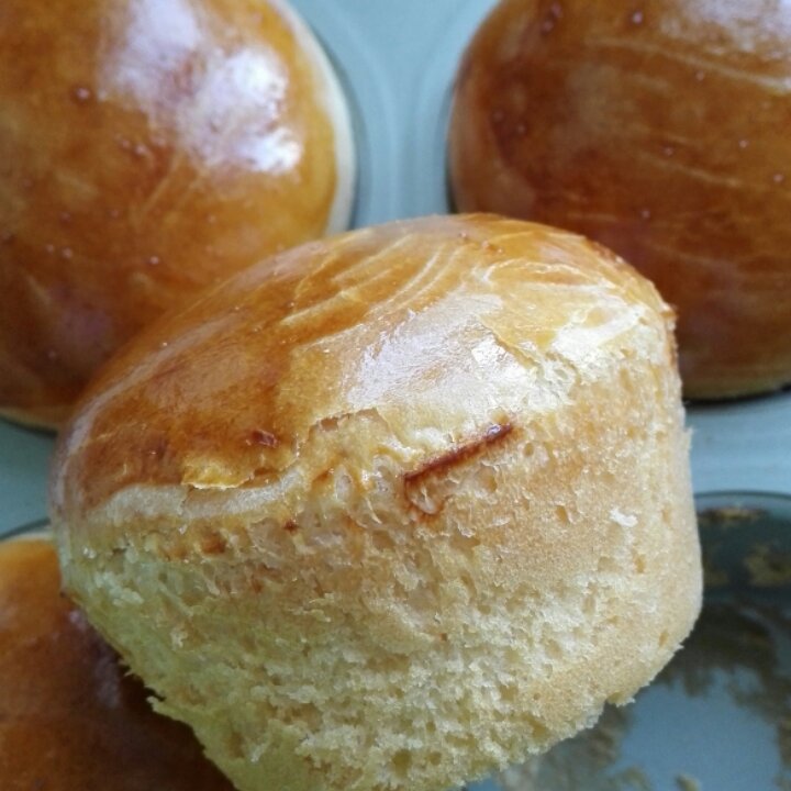 原味蘑菇包（一次性发酵）