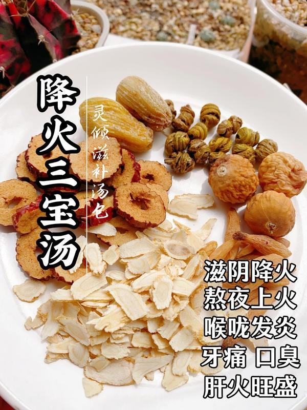 降火三宝汤