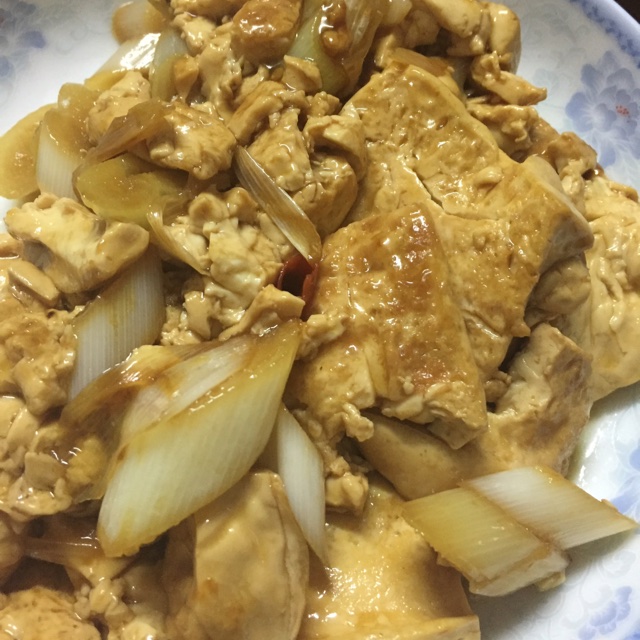 大葱烧豆腐 Spring Onion with Tofu