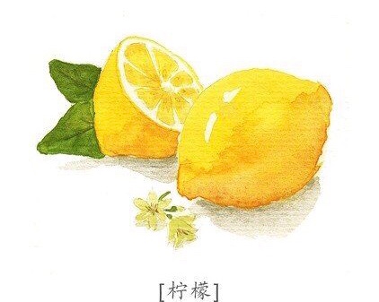 柠檬🍋的一百种攻略的做法