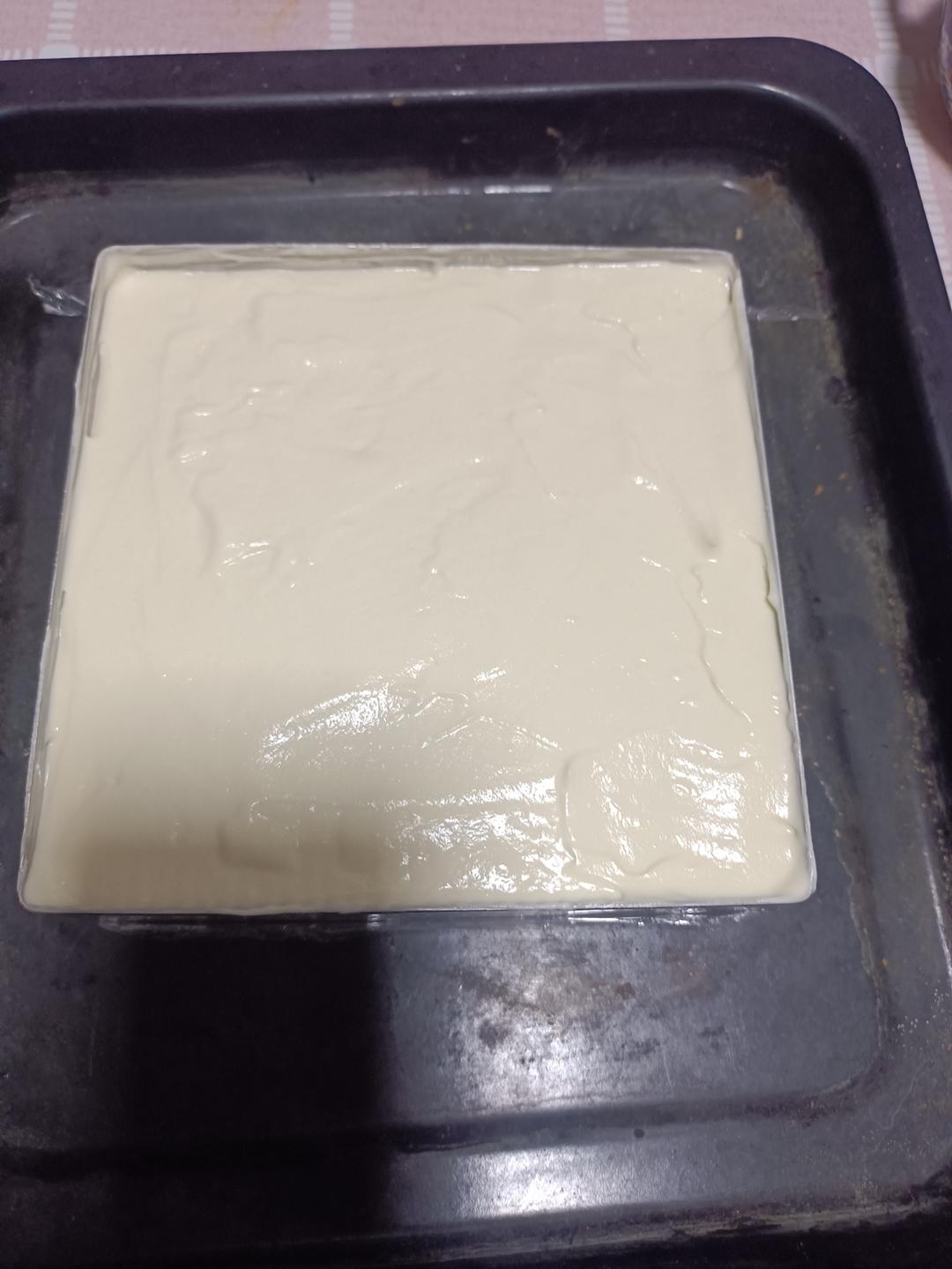 在欧洲学会的经典版提拉米苏