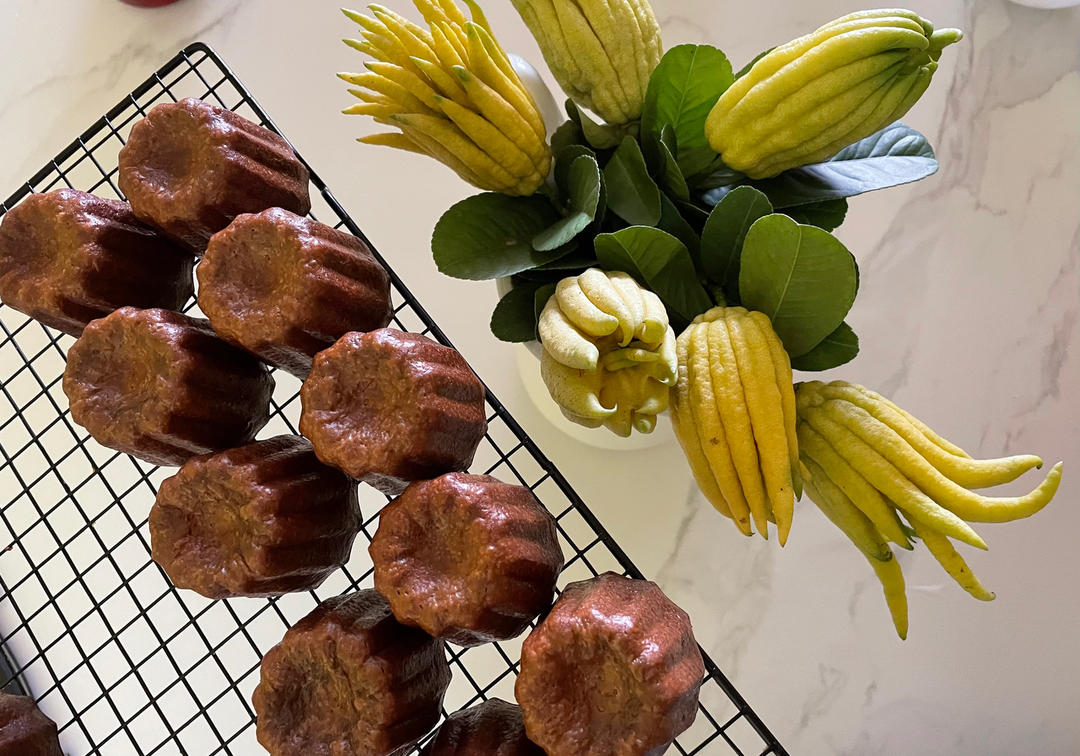 波尔多可露丽（鸳鸯奶茶与抹茶）—便宜钢模无需震面糊