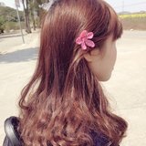 一路小跑的橘子酱