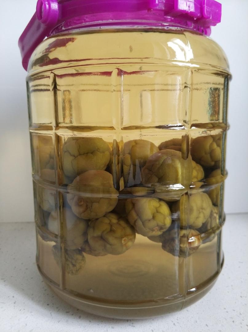 【青梅酒】梅子的沉醉时光（已填坑）